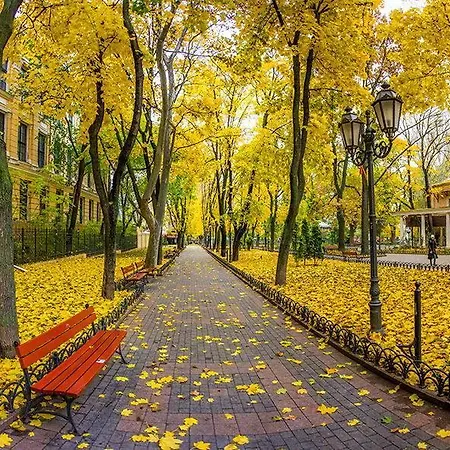 студия рядом с горсадом Odesa